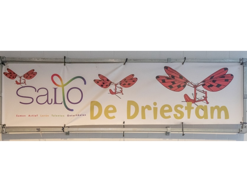 De Driestam